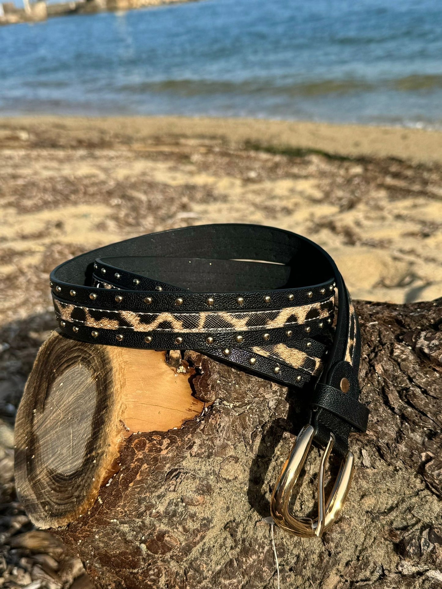 Ceinture femme avec détail léopard et clous dorés - Couleur Noir
