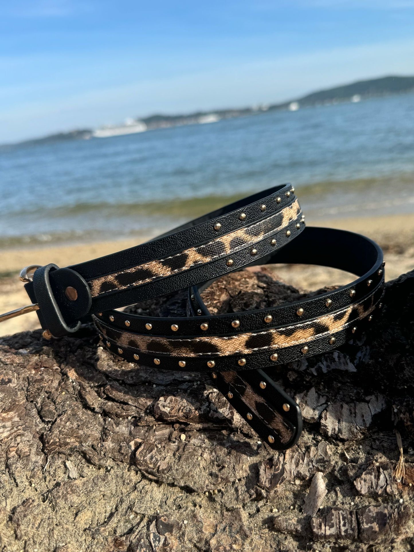 Ceinture femme avec détail léopard et clous dorés - Couleur Noir