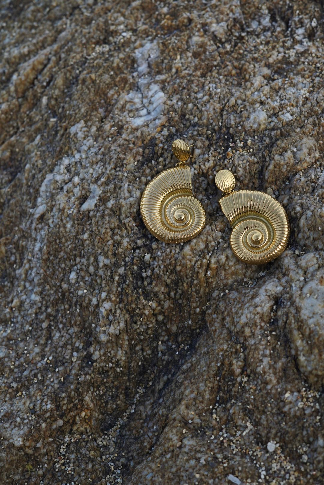 Boucles d’oreilles motif coquillage, en acier inoxydable doré