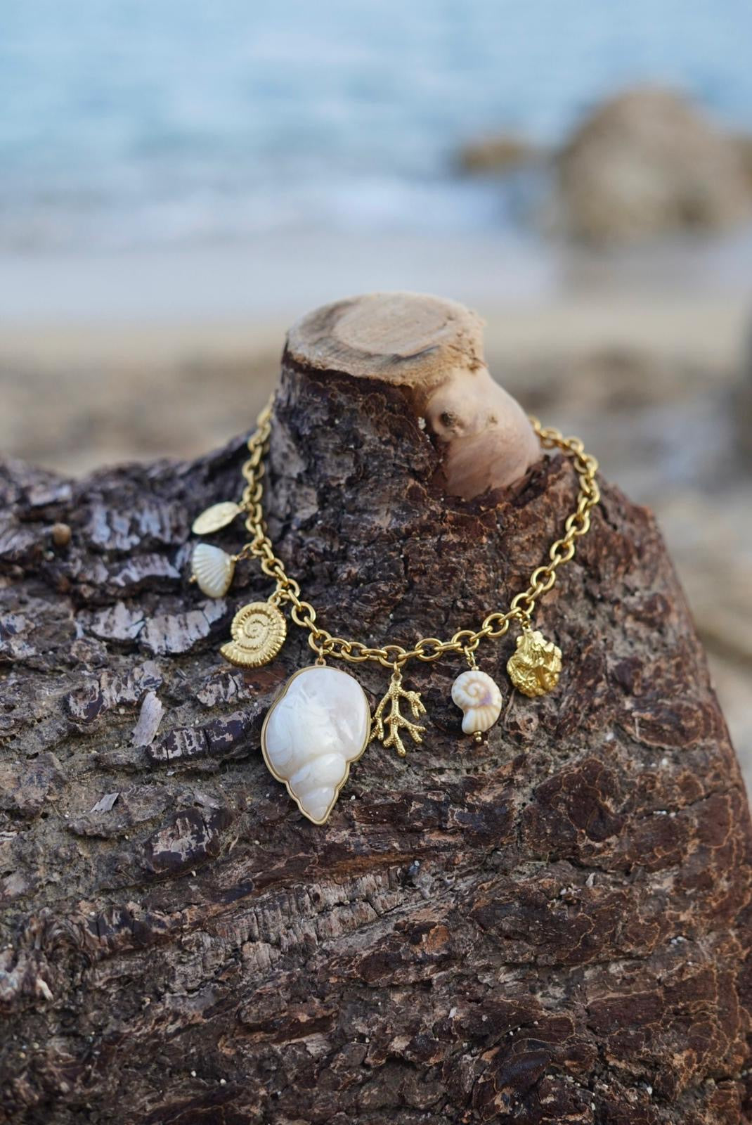 Colier Coquillage en acier inoxydable - Doré