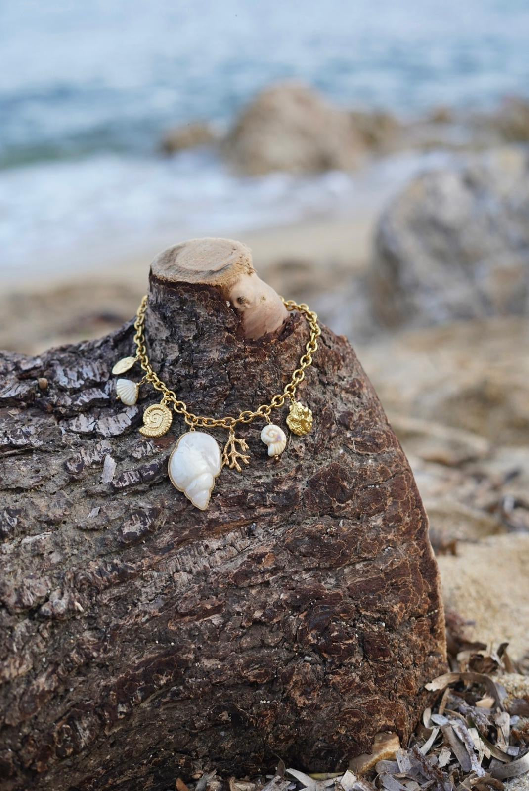 Colier Coquillage en acier inoxydable - Doré